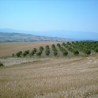 Земельный участок в Греции