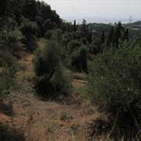 Land plot in Greece