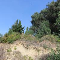 Land plot in Greece
