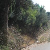Land plot in Greece