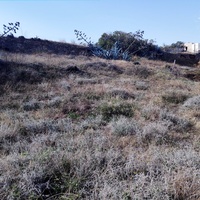 Земельный участок в Греции