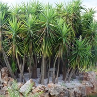 Villa in Greece, 460 sq.m.