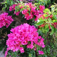 Villa in Greece, 460 sq.m.