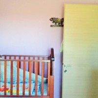 Другое в Греции, 300 кв.м.