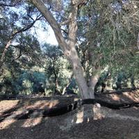 Земельный участок в Греции