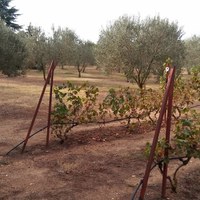 Другое в Греции, 410 кв.м.