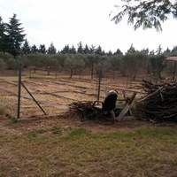 Другое в Греции, 410 кв.м.