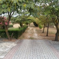 Другое в Греции, 410 кв.м.