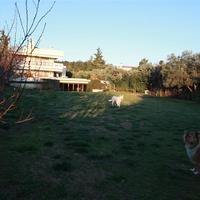 Таунхаус в Греции, 470 кв.м.