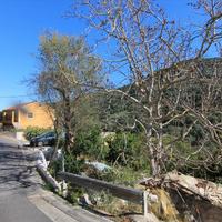 Other in Greece, 80 sq.m.