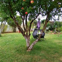 Другое в Греции, 400 кв.м.