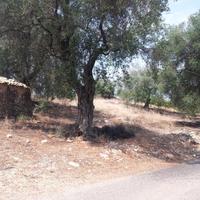 Land plot in Greece