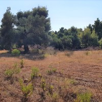 Land plot in Greece