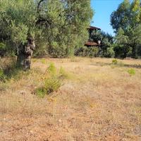 Land plot in Greece