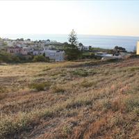 Земельный участок в Греции, 25000 кв.м.