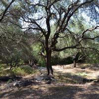 Земельный участок в Греции