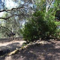 Земельный участок в Греции