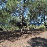 Земельный участок в Греции