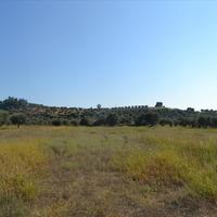 Land plot in Greece, 7700 sq.m.
