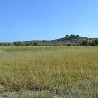 Land plot in Greece, 7700 sq.m.