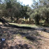 Land plot in Greece