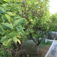 Villa in Greece, 300 sq.m.