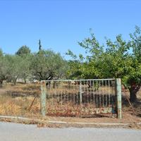 Land plot in Greece, 740 sq.m.