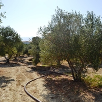 Land plot in Greece