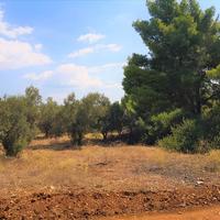 Земельный участок в Греции