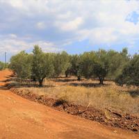 Земельный участок в Греции