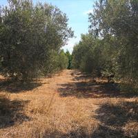 Земельный участок в Греции