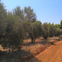 Земельный участок в Греции