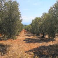 Земельный участок в Греции