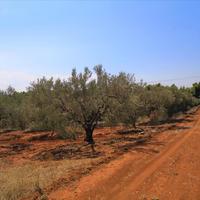 Земельный участок в Греции