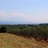 Земельный участок в Греции