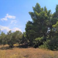 Земельный участок в Греции