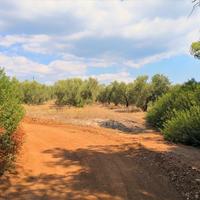 Земельный участок в Греции