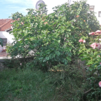 Другое в Греции, 170 кв.м.