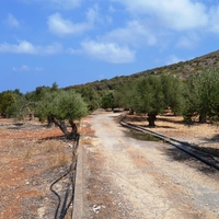 Land plot in Greece