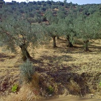 Земельный участок в Греции