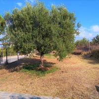 Другое в Греции, 120 кв.м.