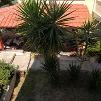 Таунхаус в Греции, 75 кв.м.