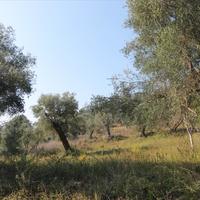 Land plot in Greece