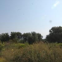 Land plot in Greece