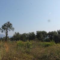 Land plot in Greece