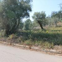 Земельный участок в Греции