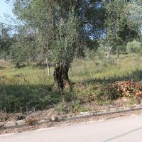 Земельный участок в Греции