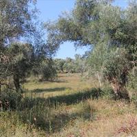 Земельный участок в Греции