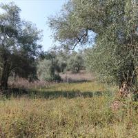 Земельный участок в Греции