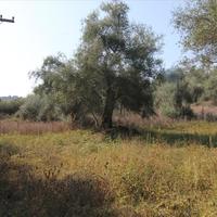 Земельный участок в Греции